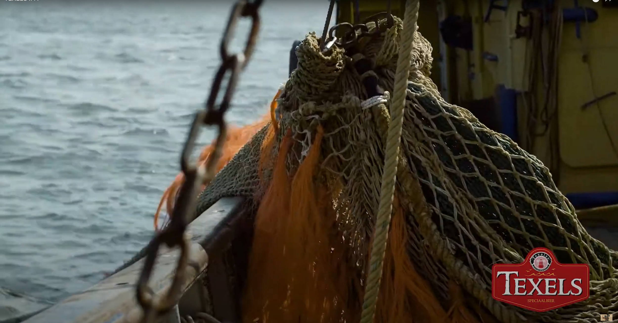 Texels IPA — product commercial